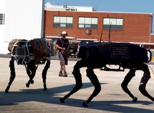 BigDog © Boston Dynamics